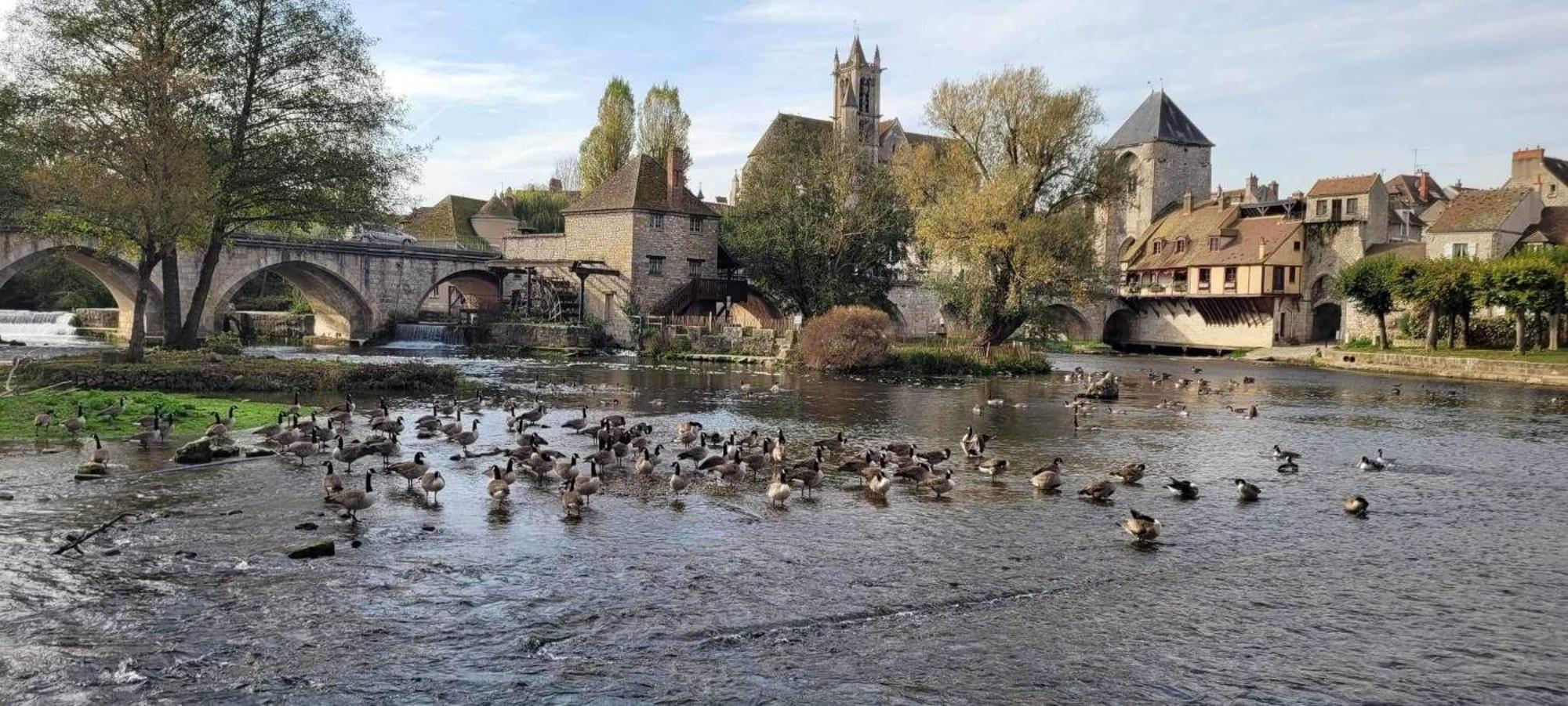 Detente A Sorques * Montigny-sur-Loing